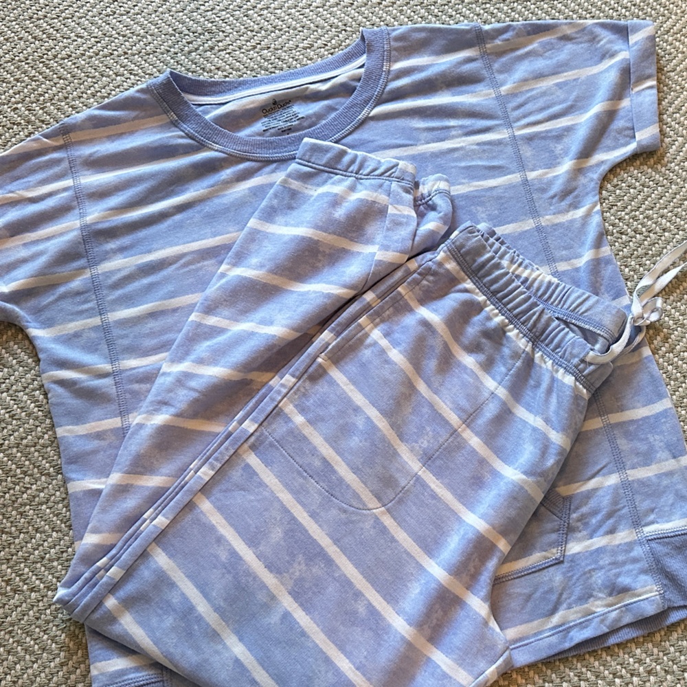 Cuddl Duds Blue and White Striped Pajama Set